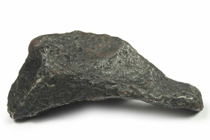 Canyon Diablo Iron Meteorite ( g) - Arizona #270534